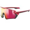 Uvex Sportstyle 231 Red-black Matt / Red